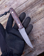 The EDC Knife, D2 steel, terracotta/black micarta, kydex.
