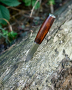 The m390 steel, ironwood, puukko knife.