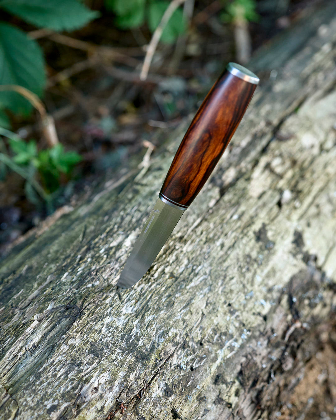The m390 steel, ironwood, puukko knife.